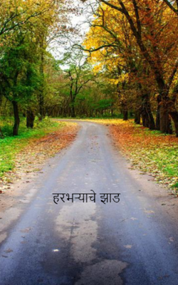 हरभऱ्याचे झाड