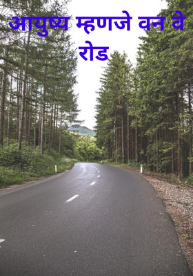 आयुष्य म्हणजे वन वे रोड
