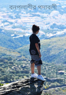 বনপলাশীর পদাবলী