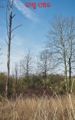 ଭୀଷ୍ମ ପଞ୍ଚକ 