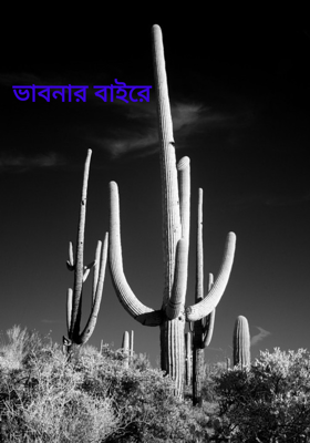 ভাবনার বাইরে
