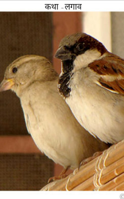 कथा -लगाव