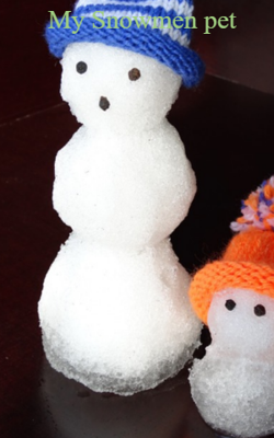 My Snowmen Pet