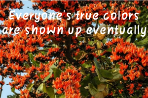 Everyone's true colors are shown up eventually