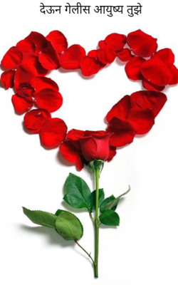 देऊन गेलीस आयुष्य तुझे