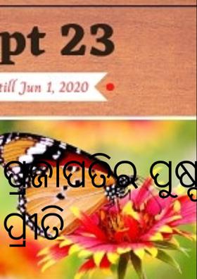 ପ୍ରଜାପତିର ପୁଷ୍ପ ପ୍ରୀତି