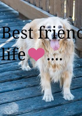 Best Friends For Life....