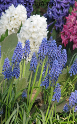 सीमायें तुझे बुलायें