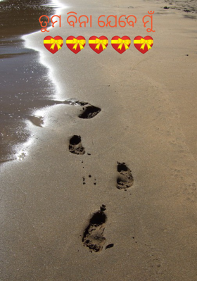 ତୁମ ବିନା ଯେବେ ମୁଁ 💝💝💝💝💝