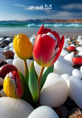 నా జత నీవే