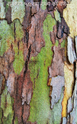 रामायण ५८;राम राज्य का वर्णन