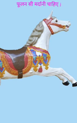 फूलन सी मर्दानी चाहिए