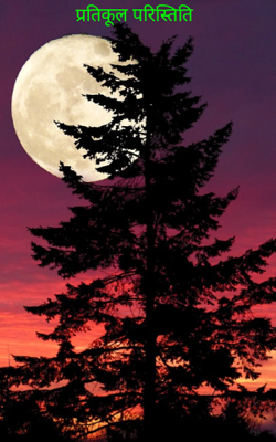 प्रतिकूल परिस्तिति