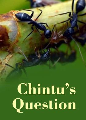 Chintu’s Question
