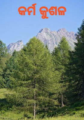 କର୍ମ କୁଶଳ