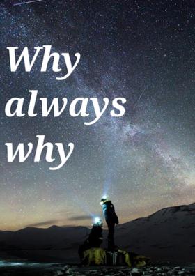 Why Always Why