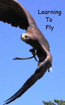 Learning To Fly