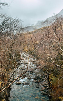 திருமந்திரம்