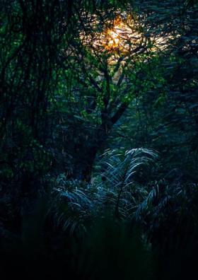 ଅନ୍ଧ ଶ୍ରଦ୍ଧା