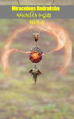 ચમત્કારિક રૂદ્રાક્ષ -૩