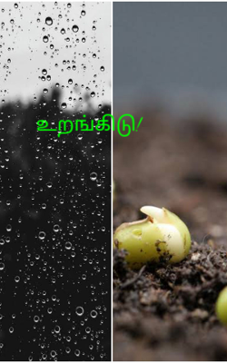 உறங்கிடு!