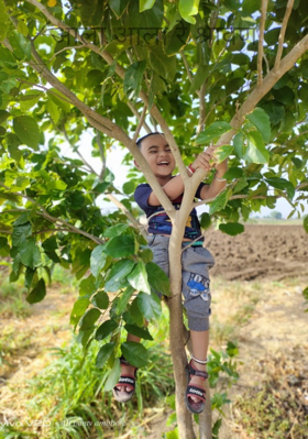 आला आला रे श्रावण