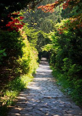 বসন্ত এসে গেছে