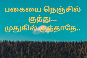 பகையை நெஞ்சில் குத்து...
முதுகில் குத்தாதே..