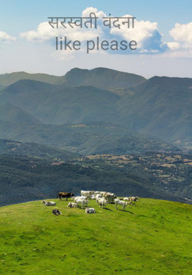 सरस्वती वंदना