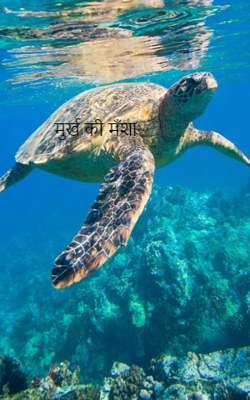 मुर्ख की मँशा