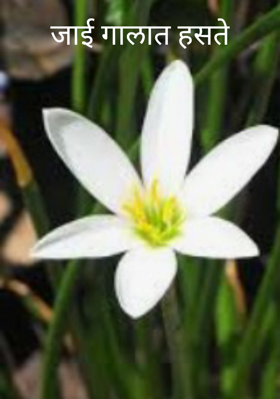 जाई गालात हसते