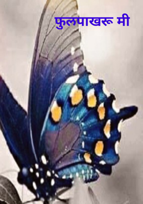 फुलपाखरू मी