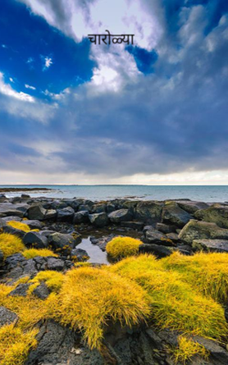 चारोळ्या