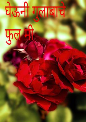घेऊनी गुलाबाचे फूल मी