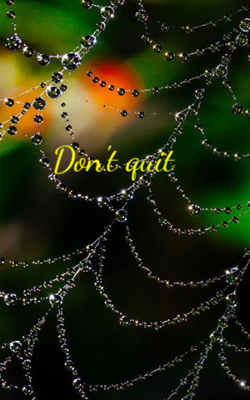 Don't Quit