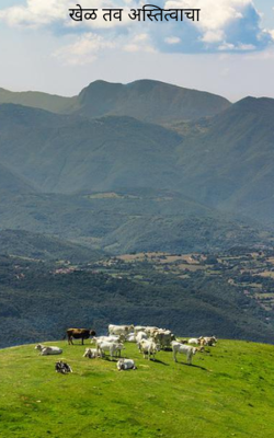 खेळ तव अस्तित्वाचा