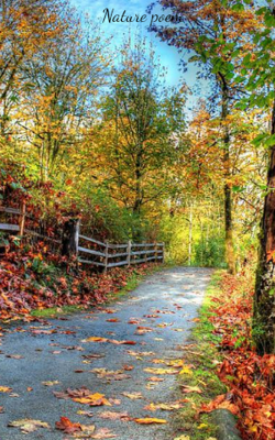 Nature Poem