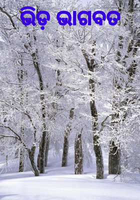 ଭିଡ଼ ଭାଗବତ