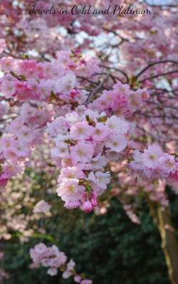 Jewels In Gold And Platinum