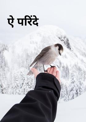 ऐ परिंदे