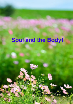 Soul And The Body!