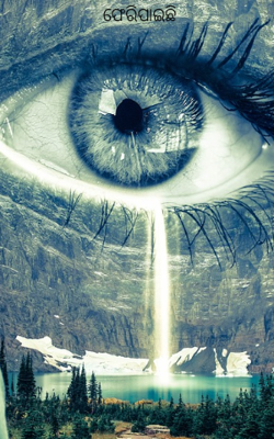 ଫେରିପାଇଛି