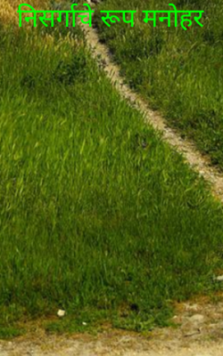 निसर्गाचे रूप मनोहर