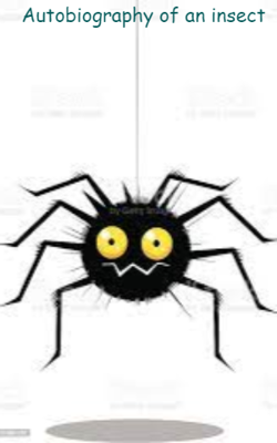 Autobiography Of An Insect