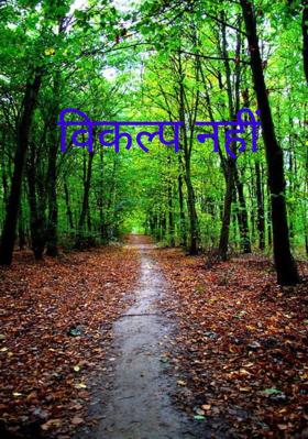 विकल्प नहीं