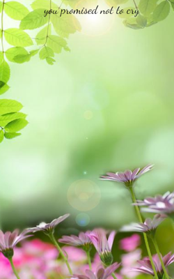 You Promised Not To Cry