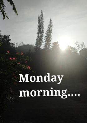 Monday Morning......
