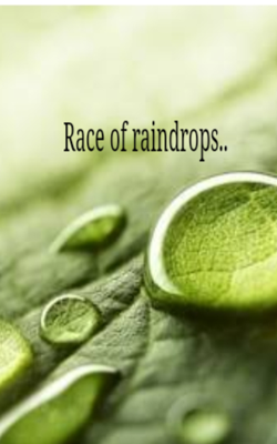 Race of Raindrops..