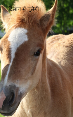 दिमाग में घूमेगी