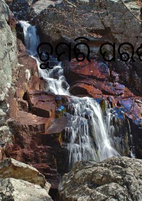 ତୁମରି ପରଶ